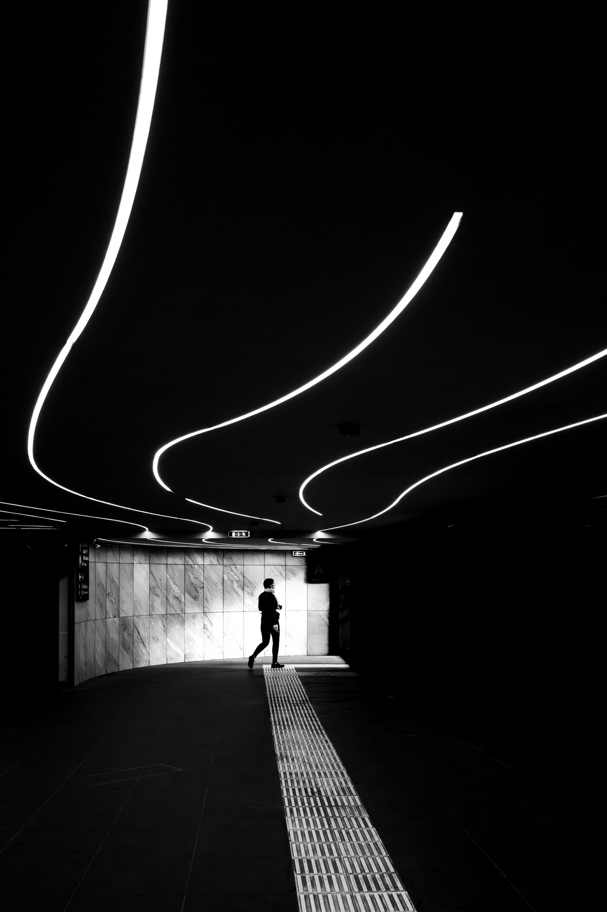 Leading Lights – Tamas Dragon